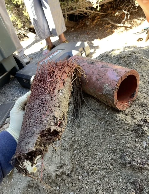 Corroded cast iron sewer pipe with rust and deterioration removed from ground