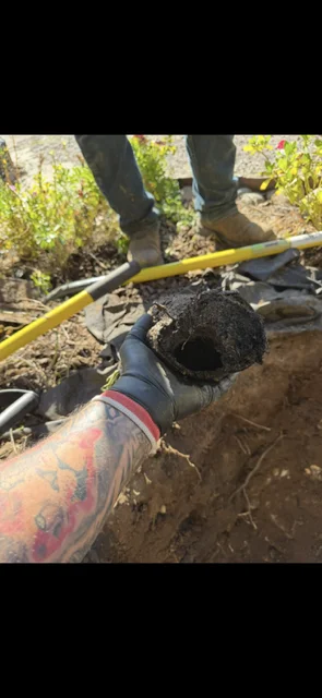 Sewer line excavation showing old pipe removal and new black drainage pipe installation in trench